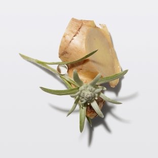 ingredientes genesis edelweiss gengibre